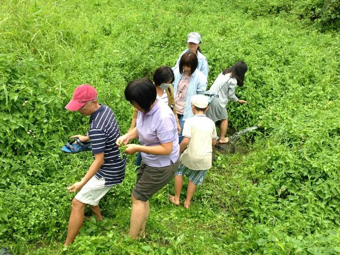 翻動教育的泥土地： 東部高中職教師多元文化增能工作坊  活動紀錄圖片